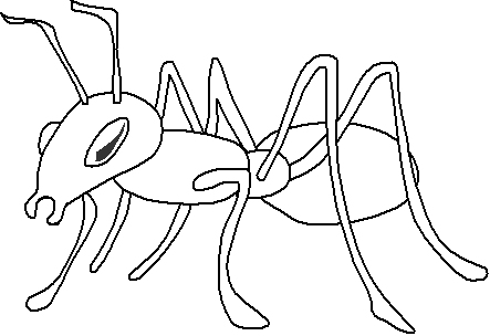 desene de colorat furnica